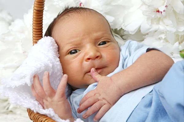Baby 10 days old — Stock Photo, Image