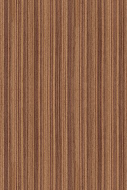 Seamless walnut (wood texture) clipart