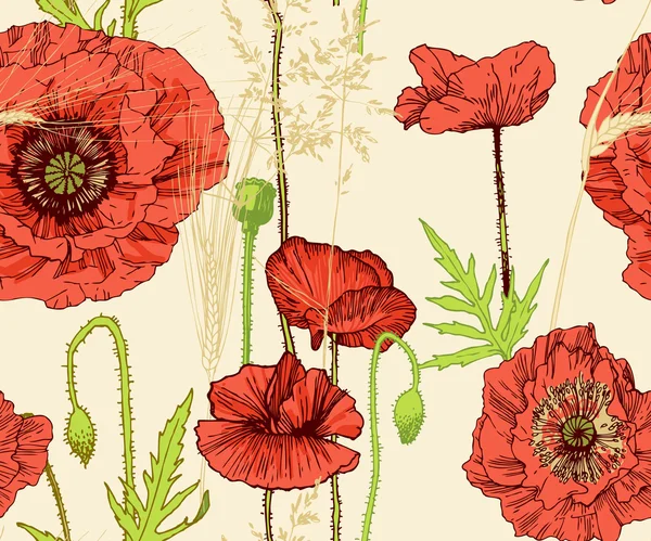 Floral seamless pattern. Poppy — Stock Vector
