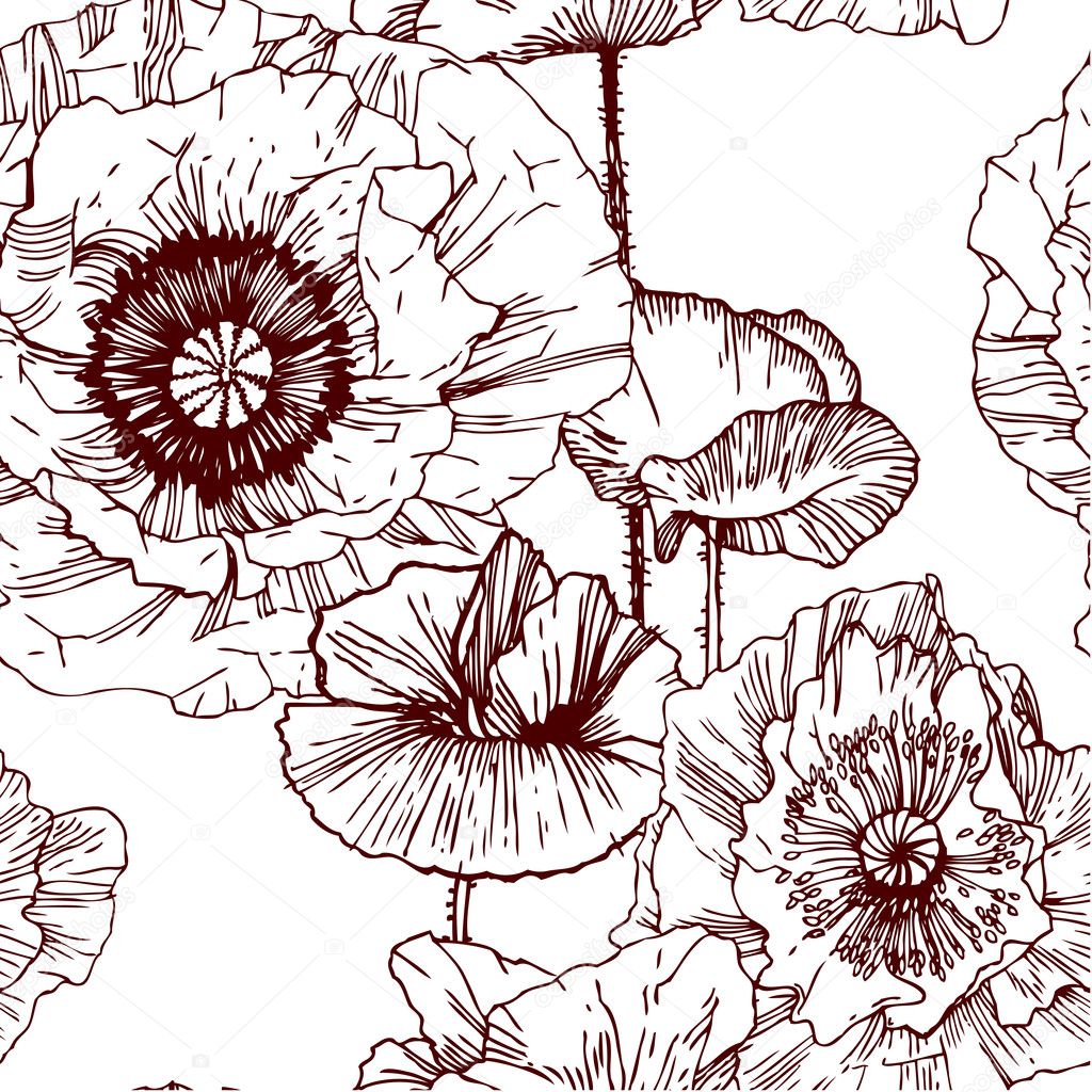 Floral seamless pattern. Poppy