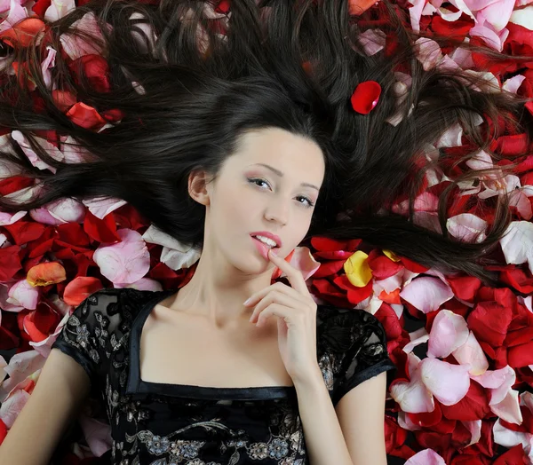 Piękna brunetka w płatkach róży — Zdjęcie stockowe