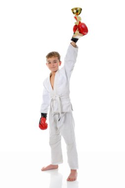 Young boy training karate. clipart