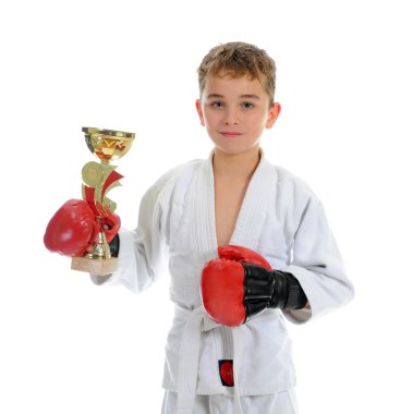 Young boy training karate. clipart