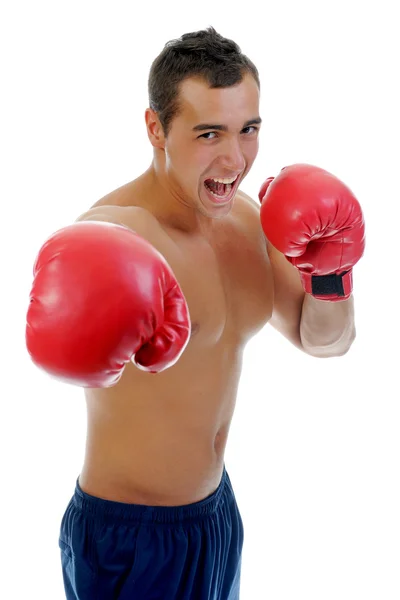 Portret van atletische bokser — Stockfoto