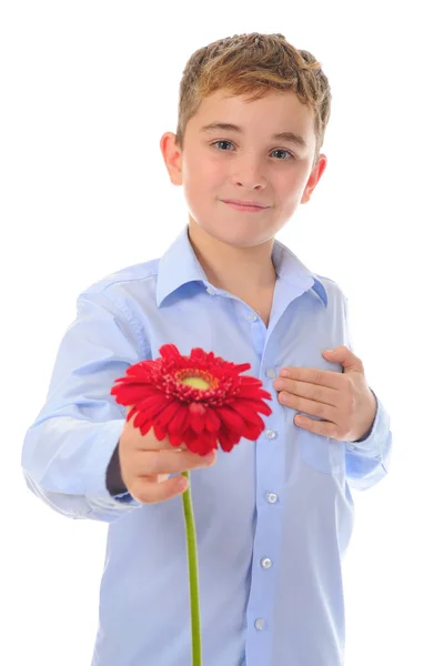 Jongen met bloem — Stockfoto