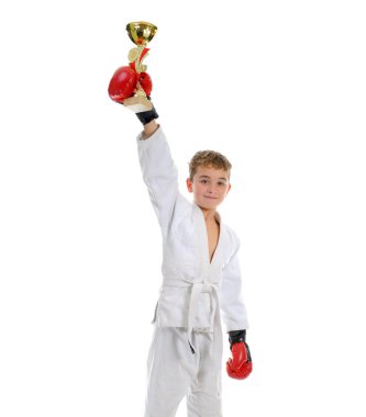 Young boy training karate. clipart