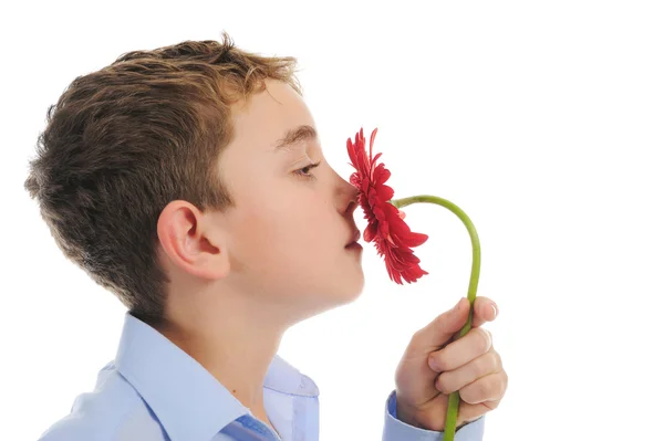 Pojke med blomma — Stockfoto