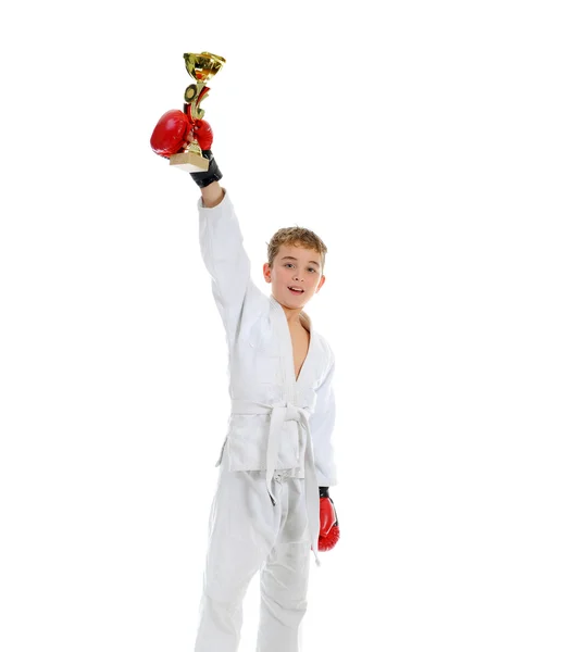 stock image Young boy training karate.