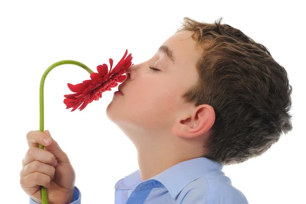 Хлопчик з квіткою — стокове фото