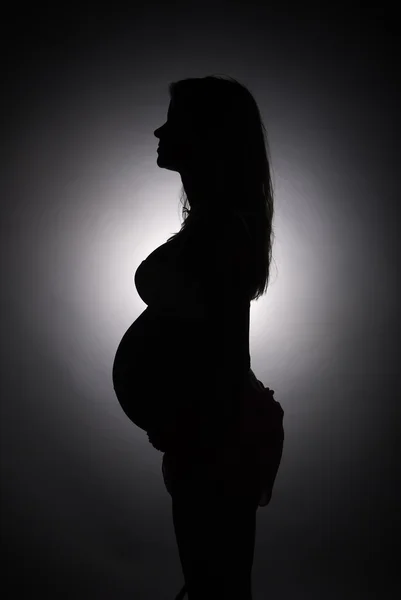 Portrait de femme enceinte — Photo