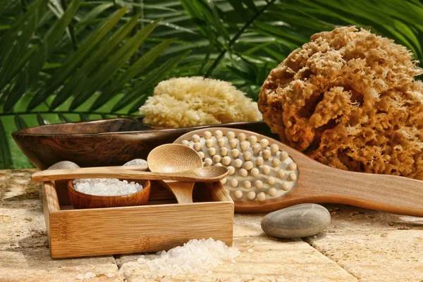 Spa still life with bath salt and brushes — Stock Photo, Image