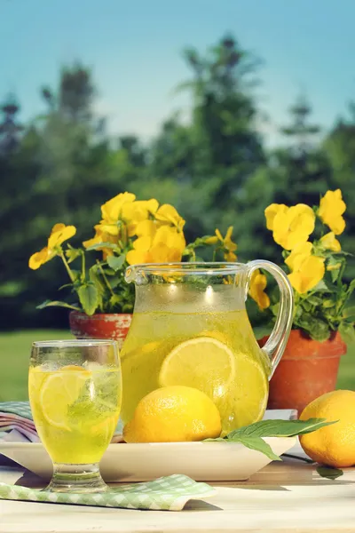 新鲜柠檬汁在夏日里的一天 — 图库照片