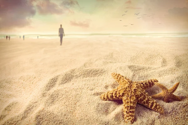 Starfish na areia na praia — Fotografia de Stock