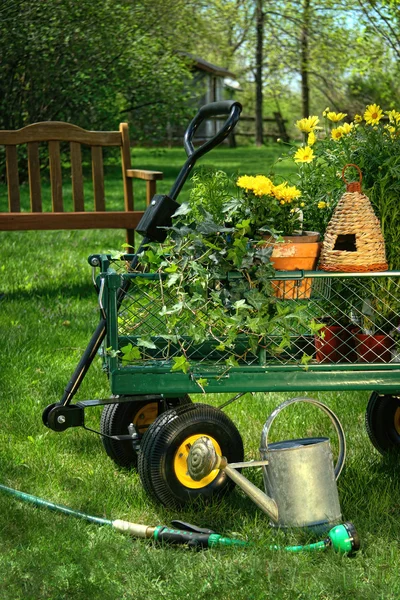 Jardinagem de verão — Fotografia de Stock