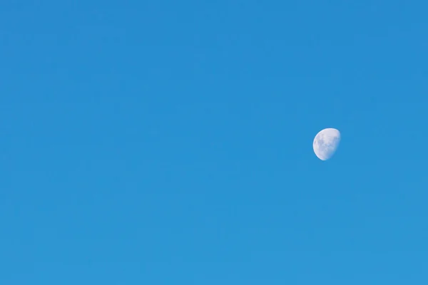 Vroeg de maan tegen de blauwe hemel — Stockfoto