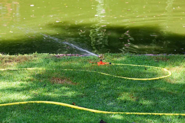 Manguera con agua sobre un fondo de hierba verde —  Fotos de Stock