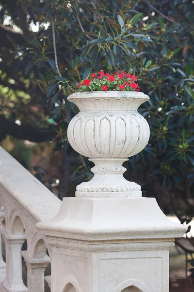 Bellissimo vaso con fiori rossi sul ponte — Foto Stock