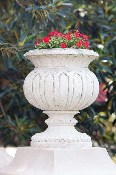 Bellissimo vaso con fiori rossi sul ponte — Foto Stock