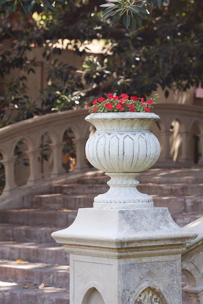 Schöne Vase mit roten Blumen auf der Brücke — Stockfoto