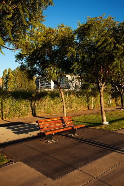 Μοναχικό παγκάκι σε ένα καταπράσινο πάρκο — Φωτογραφία Αρχείου