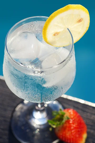 수영장, 라운지, 얼음, 레몬 및 strawber 와인 글라스 — 스톡 사진