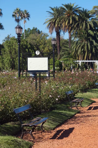 Růžová zahrada s lavičkami a palmy proti modré obloze — Stock fotografie