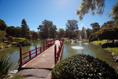 Bridge on the background of the pond in Japanese garden clipart