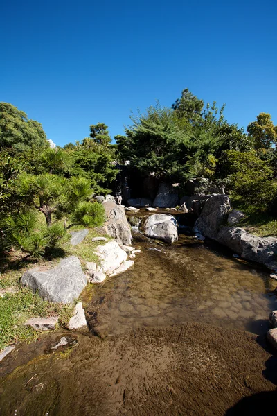 針葉樹の木、岩、青色の背景色の滝 — ストック写真