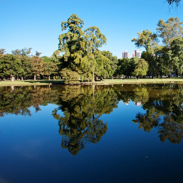 Árboles y un estanque sobre un fondo de cielo azul y la ciudad —  Fotos de Stock