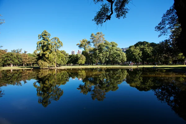 Trees and a pond on a background of blue sky and the city — Stock Photo, Image