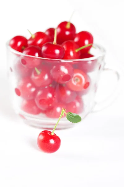 Cherry met groen blad en een kopje van kersen op een witte CHTERGRO — Stockfoto