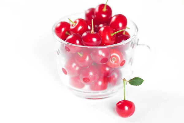 Cherry med gröna blad och en kopp körsbär på en vit ba — Stockfoto
