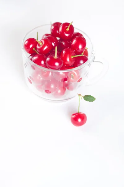 Cherry met groen blad en een kopje van kersen op een witte CHTERGRO — Stockfoto