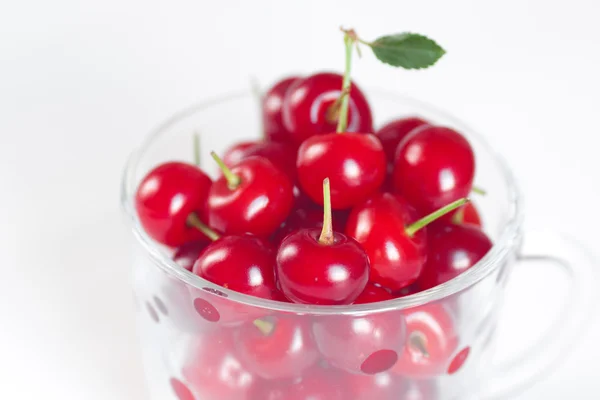 Cherry s zelený list a šálek třešní na bílé poz — Stock fotografie