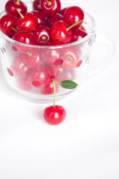 Cseresznye, zöld levél és egy csésze, egy fehér hát a cseresznye és a meggy — Stock Fotó