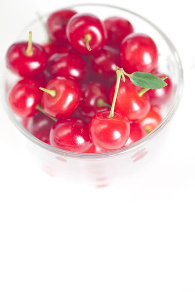 Cherry med gröna blad och en kopp körsbär på en vit ba — Stockfoto