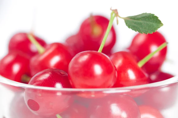 Cherry s zelený list a šálek třešní na bílé poz — Stock fotografie