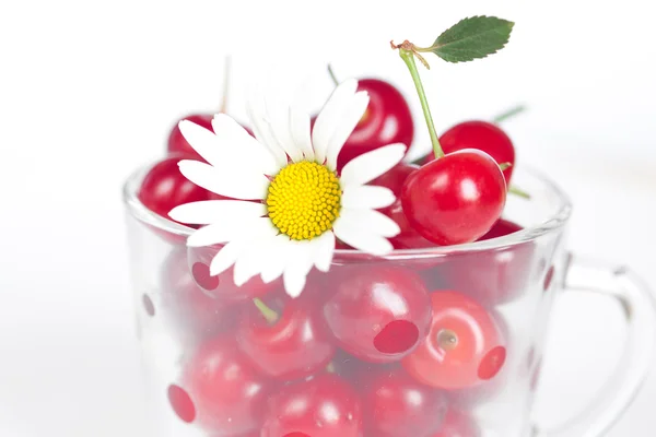 Tazza di vetro con ciliegie e camomilla — Foto Stock