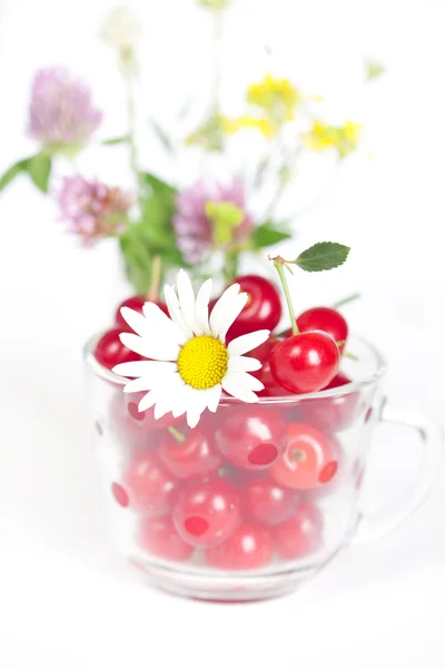 Tasse en verre avec des cerises et un bouquet de fleurs sauvages — Photo