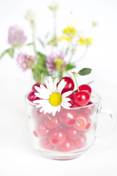 Cam bardak vişne ve kır çiçekleri buketi — Stok fotoğraf