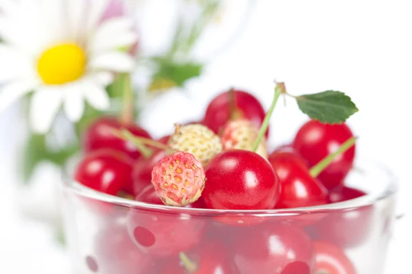 Coupe en verre avec des cerises et des fraises sauvages et un bouquet de w — Photo
