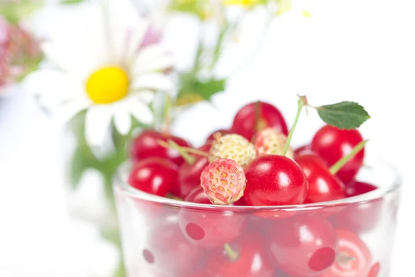 Coupe en verre avec des cerises et des fraises sauvages et un bouquet de w — Photo