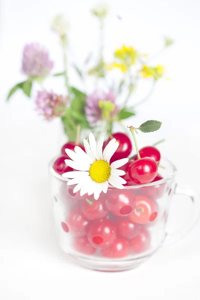 Copo de vidro com cerejas e um buquê de flores silvestres — Fotografia de Stock