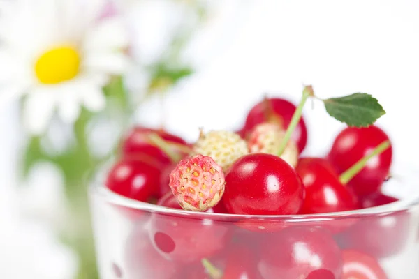 Copa de vidrio con cerezas y fresas silvestres y un ramo de w —  Fotos de Stock