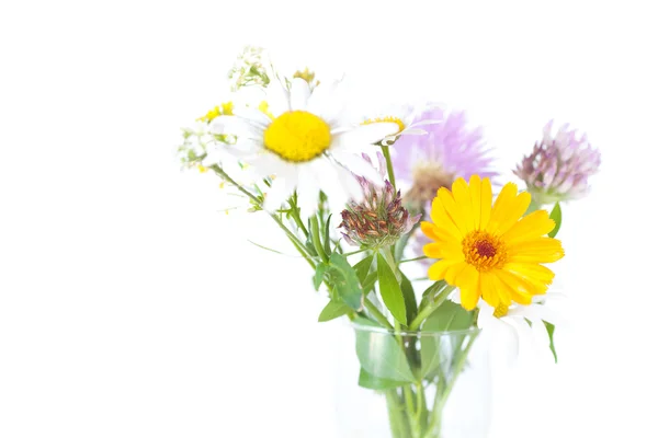 Bouquet of wild flowers on a white background — Stock Photo, Image