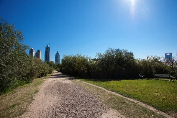 Skyscrapers on a background of blue sky and the park — Stock Photo, Image