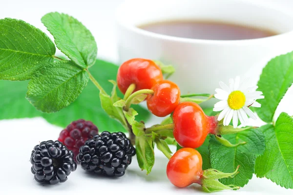 Чашка чаю, ожини, ягід полуниці та шипшини з листям — стокове фото