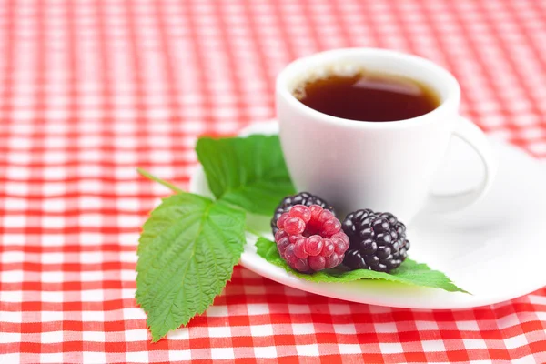 Kopp te, hallon och björnbär med lämnar på rutigt tyg — Stockfoto