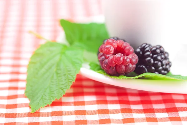 Kopje thee, framboos en blackberry met verlaat op geruite stof — Stockfoto