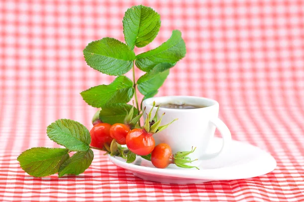 Kopje thee en rozenbottels bessen met bladeren op geruite stof — Stockfoto
